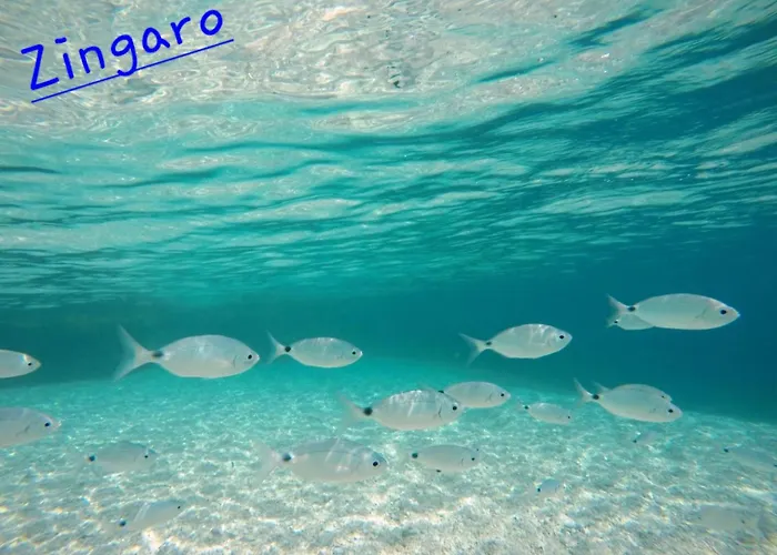 Mariposa B&B San Vito Lo Capo